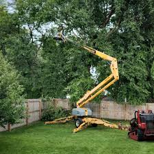 Best Commercial Tree Services  in Snoqualmie, WA