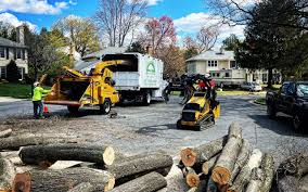 Best Stump Grinding and Removal  in Snoqualmie, WA